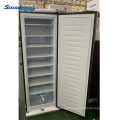 a+/F Cold Store Single Door Deep Freezer Upright Freezers